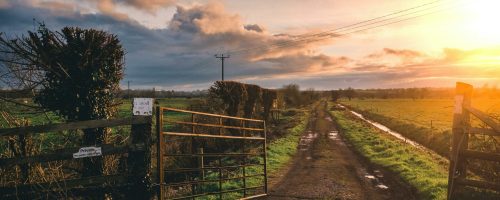 pexels-chanita-sykes-417447-1094544 ferme représentant le commerce local dans les territoires français
